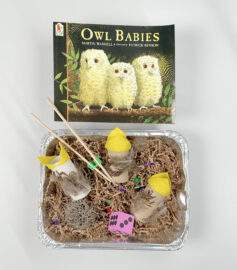 Owl Babies Activity