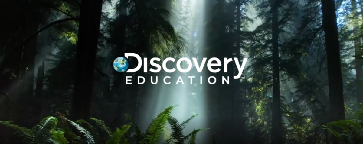 Text reads Discovery Education. In the background is a forest with tall trees and ferns